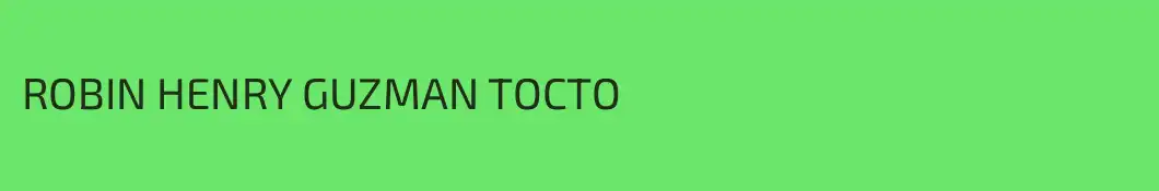 ROBIN HENRY GUZMAN TOCTO